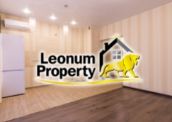 Leonum-Property-3